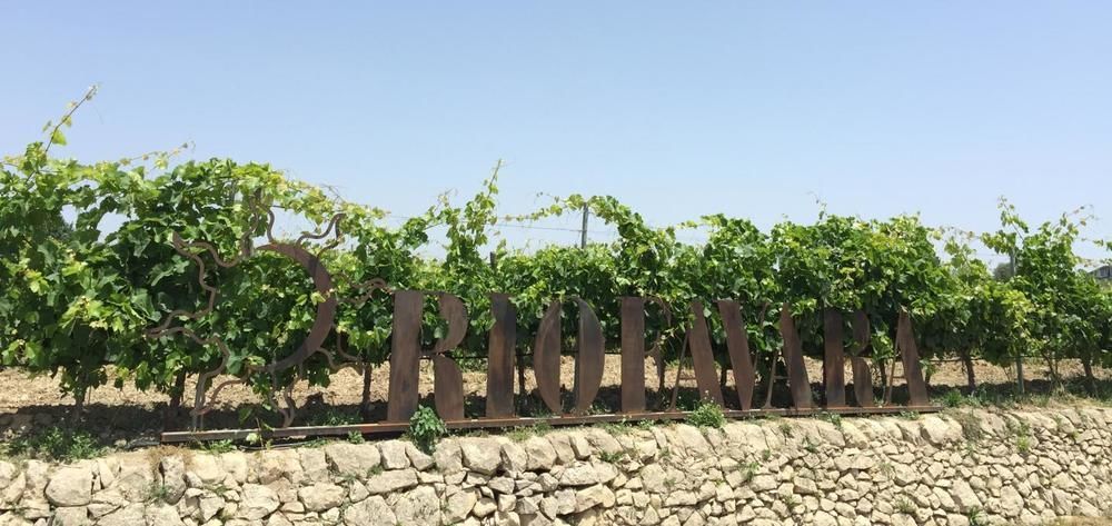 مبيت وإفطار إيسبيكا Riofavara Winery المظهر الخارجي الصورة